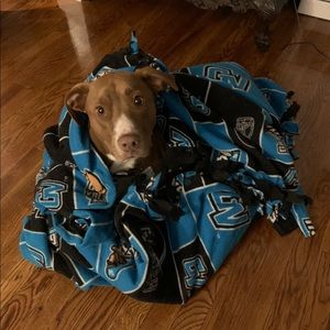 Meet your Posher, Joshua